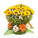 SENTIMIENTO-GIRASOL–45.00