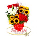 SONRISA-DE-SOL–45.00