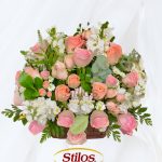 75BB7687-F0A7-4054-9DA9-BB38637B5882